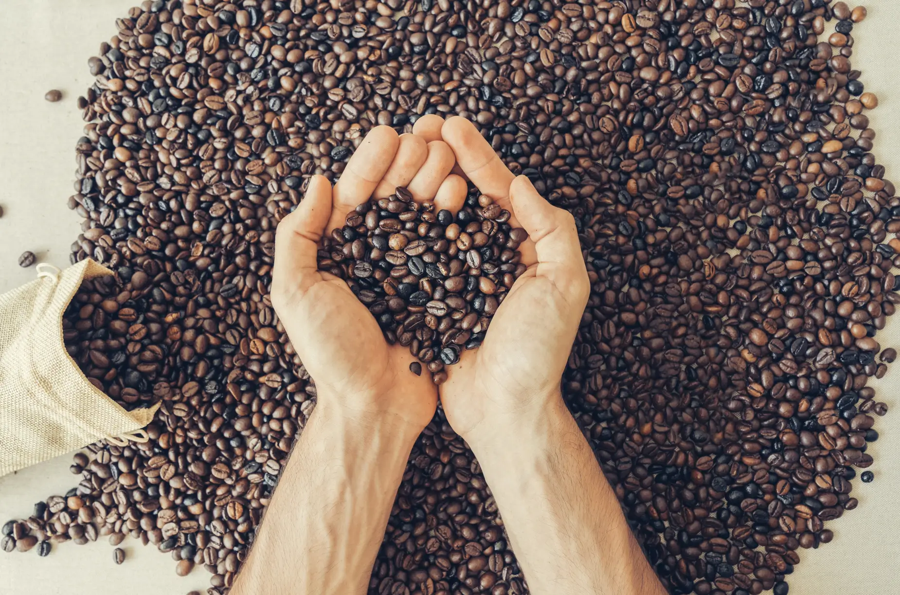 Who Is the Best Coffee Exporter in India and What Should Global Buyers Know?