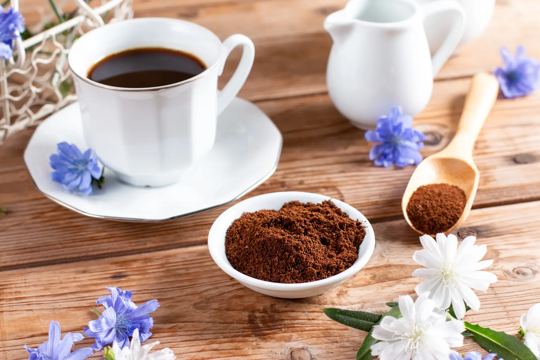 Chicory Coffee Blends
